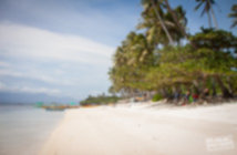 IMG_5532 IMG_5532