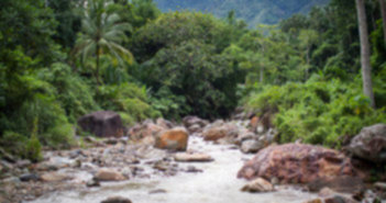 IMG_9249 IMG_9249