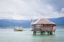 filipinskie_meladiwy filipinskie_meladiwy